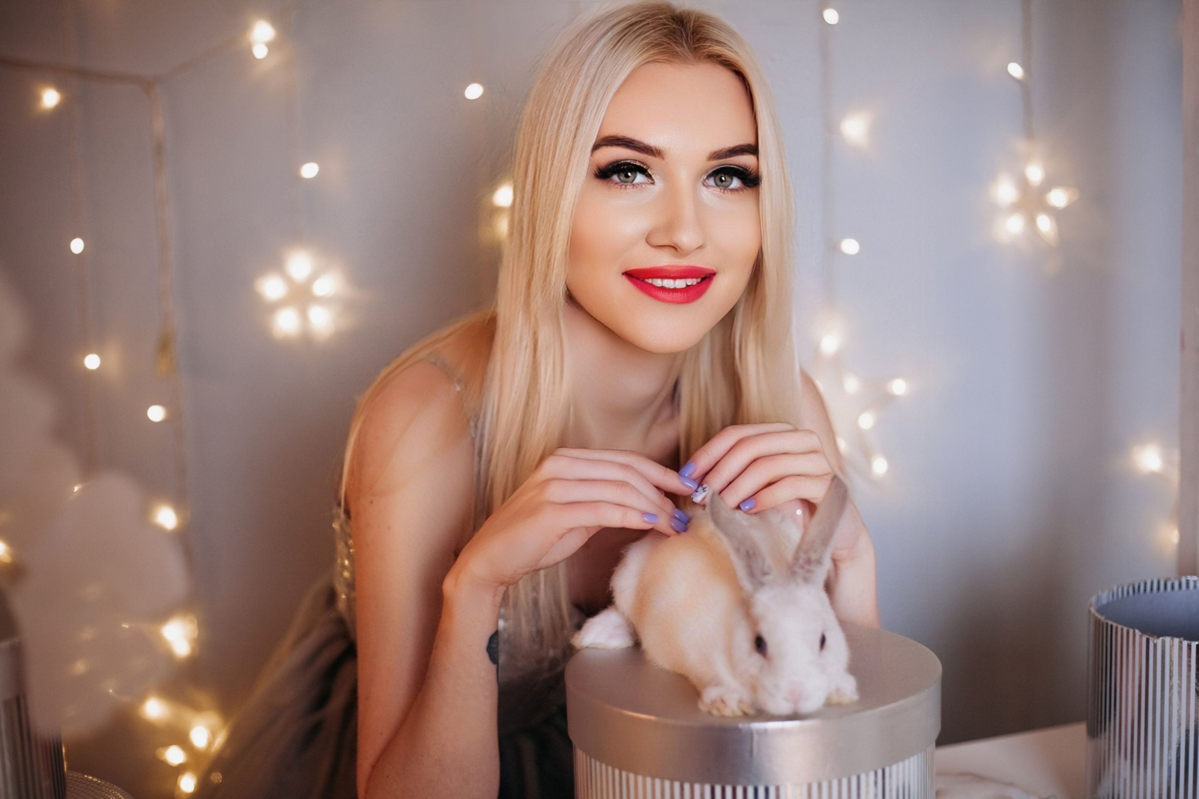 rabbit_career_2026