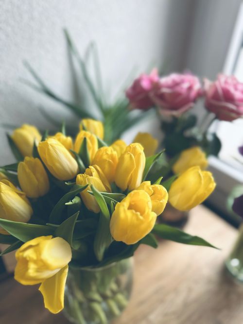 Free Bright yellow tulips in a glass vase, complemented by pink roses, create a cheerful floral display. Stock Photo