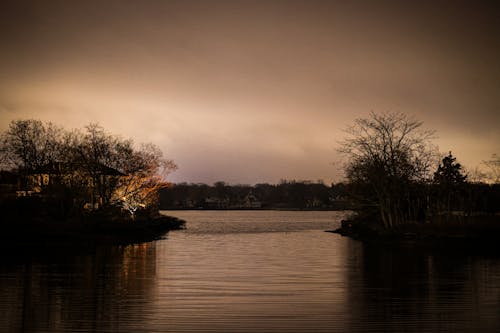 Photos gratuites de arbres, aube, berges