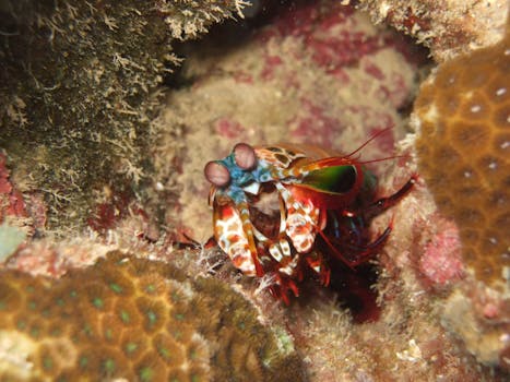 Saipan, Northern Mariana Islands photo 3