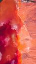 Red-orange Waves Wallpaper