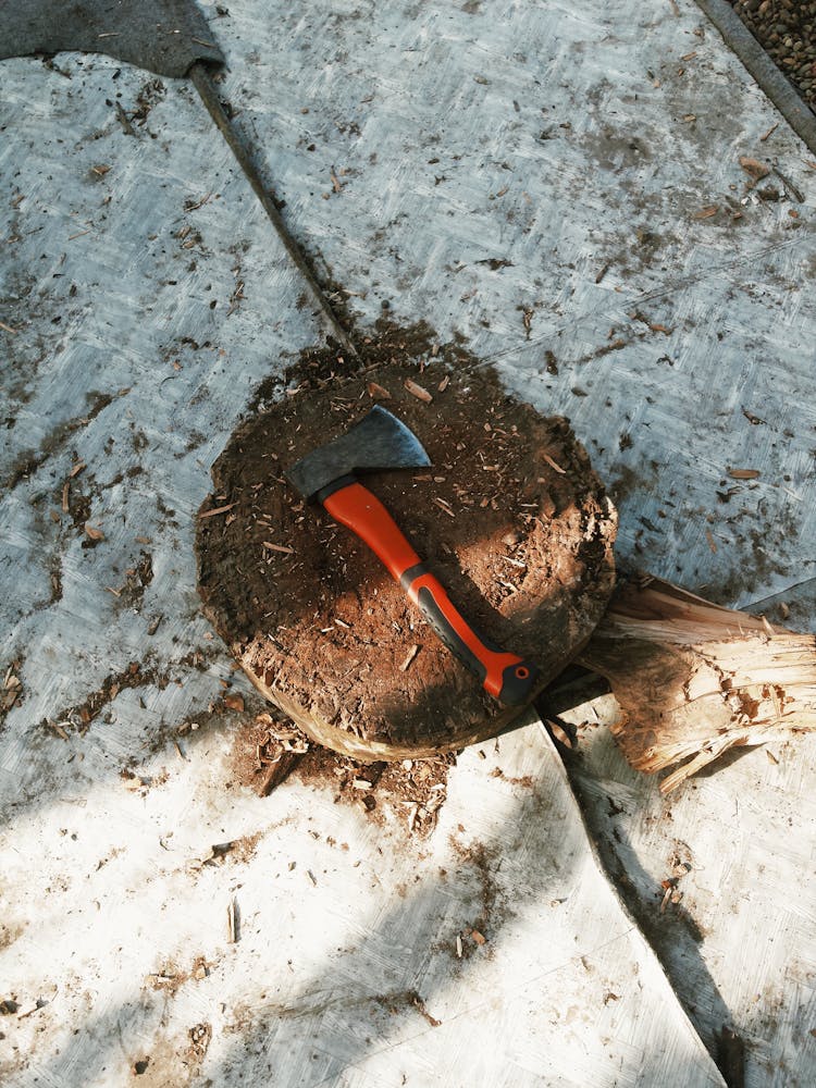 An Ax On A Log