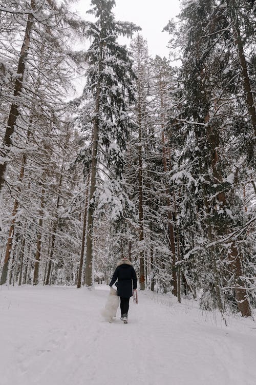 Back View of a Person Walking in a Snowy Forest with a Dog 