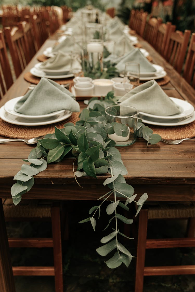 Plants Leaves And Plates On Table