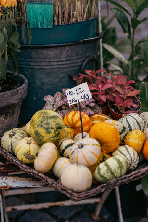 Vegetables and Fruits