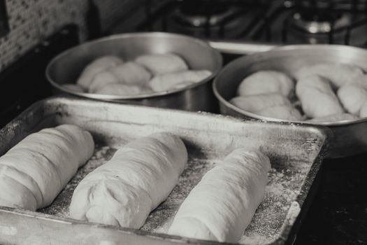 Monochrome image of raw dough placed on trays, ready for baking.