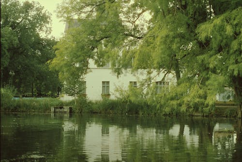 Základová fotografie zdarma na téma budova, jezero, stromy