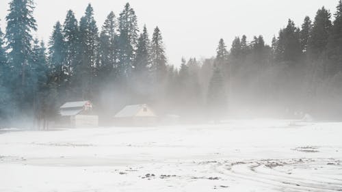 Gratis lagerfoto af bygninger, dis, forkølelse