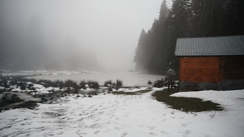 Ilmainen kuvapankkikuva tunnisteilla flunssa, järvi, lato