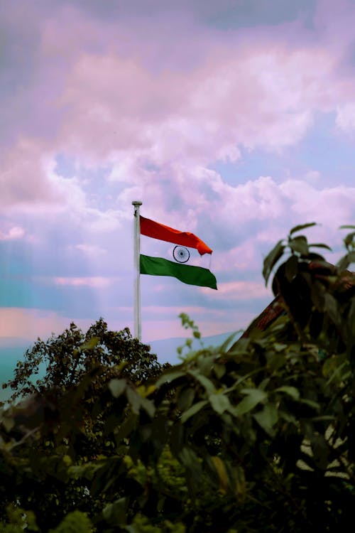 Flag of India over Tree Leaves