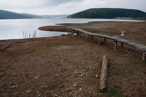 Základová fotografie zdarma na téma dřevěný, dřevo, jezero