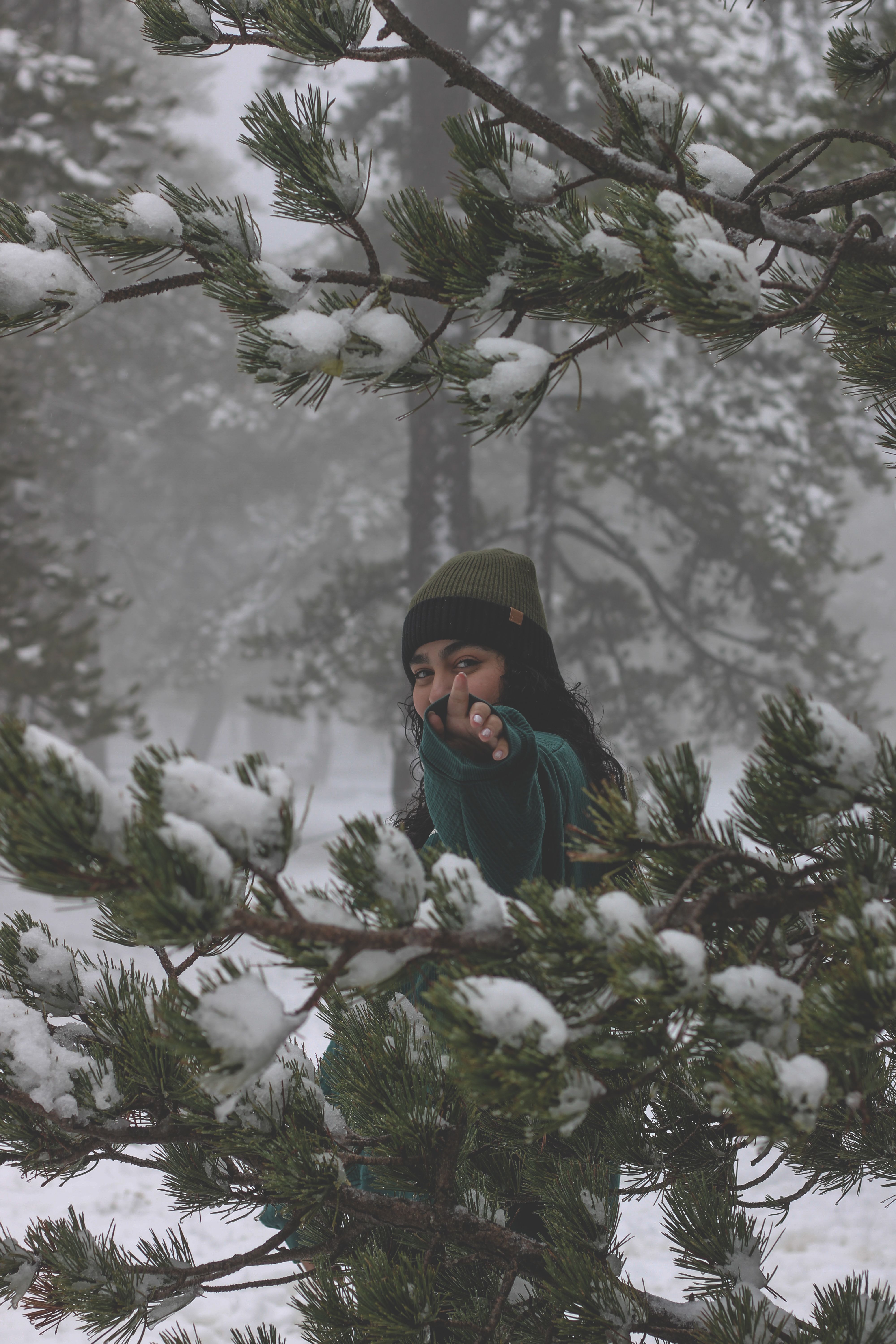 Woman Among Shrubs in a Forest in Winter · Free Stock Photo