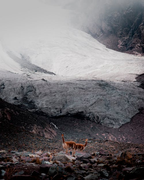 andes, buzul, dağlar içeren Ücretsiz stok fotoğraf