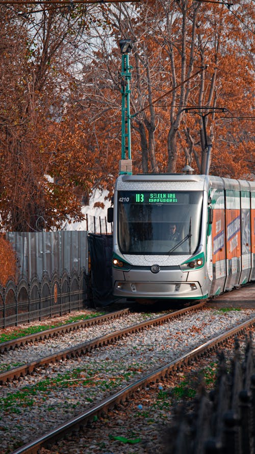 Fotobanka s bezplatnými fotkami na tému doprava, električka, jeseň