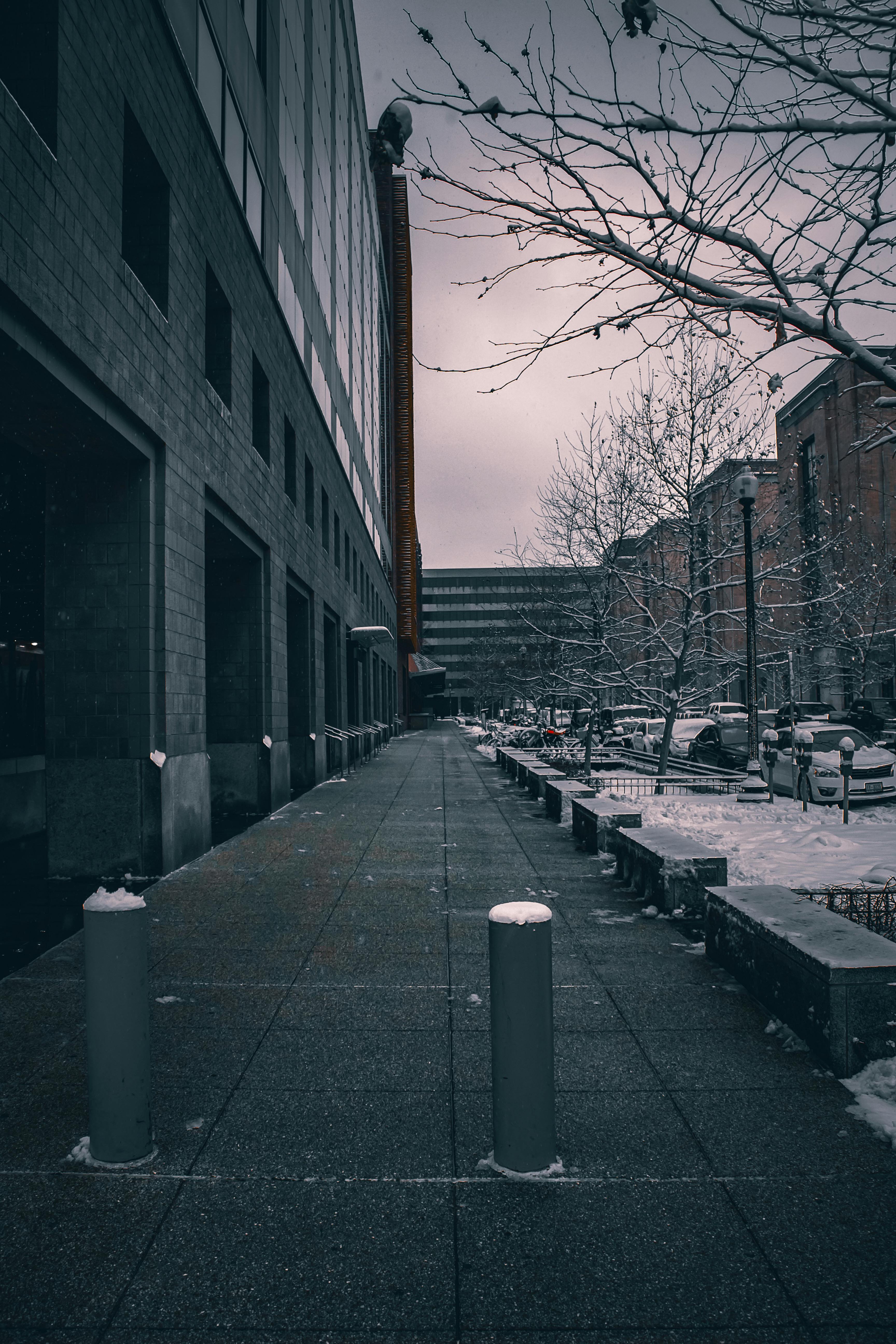 A Street Covered in Snow · Free Stock Photo