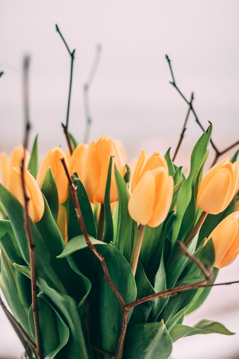 Saffron tulip bouquet in warm tones