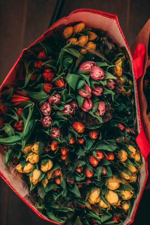 Red bag with beautiful multicolored delicate tulips