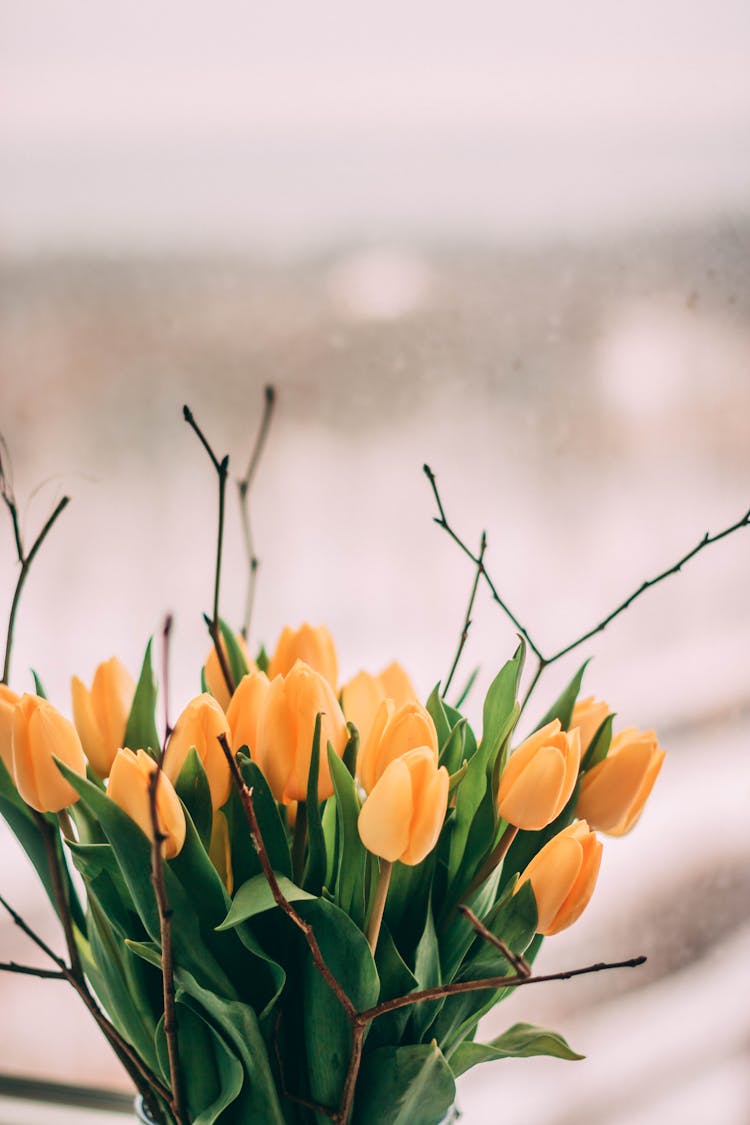 Yellow Tulip Flowers Bouquet