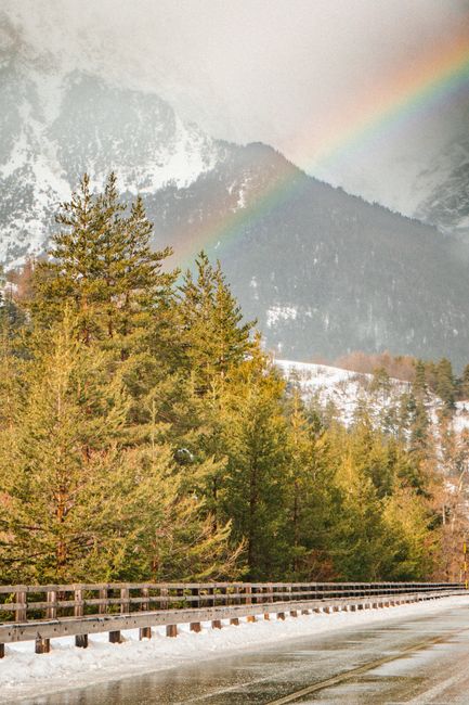 A picturesque mountain road lined with snowy pine trees under a vibrant rainbow.