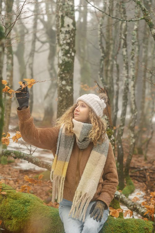 Immagine gratuita di abbaiare, alberi, donna