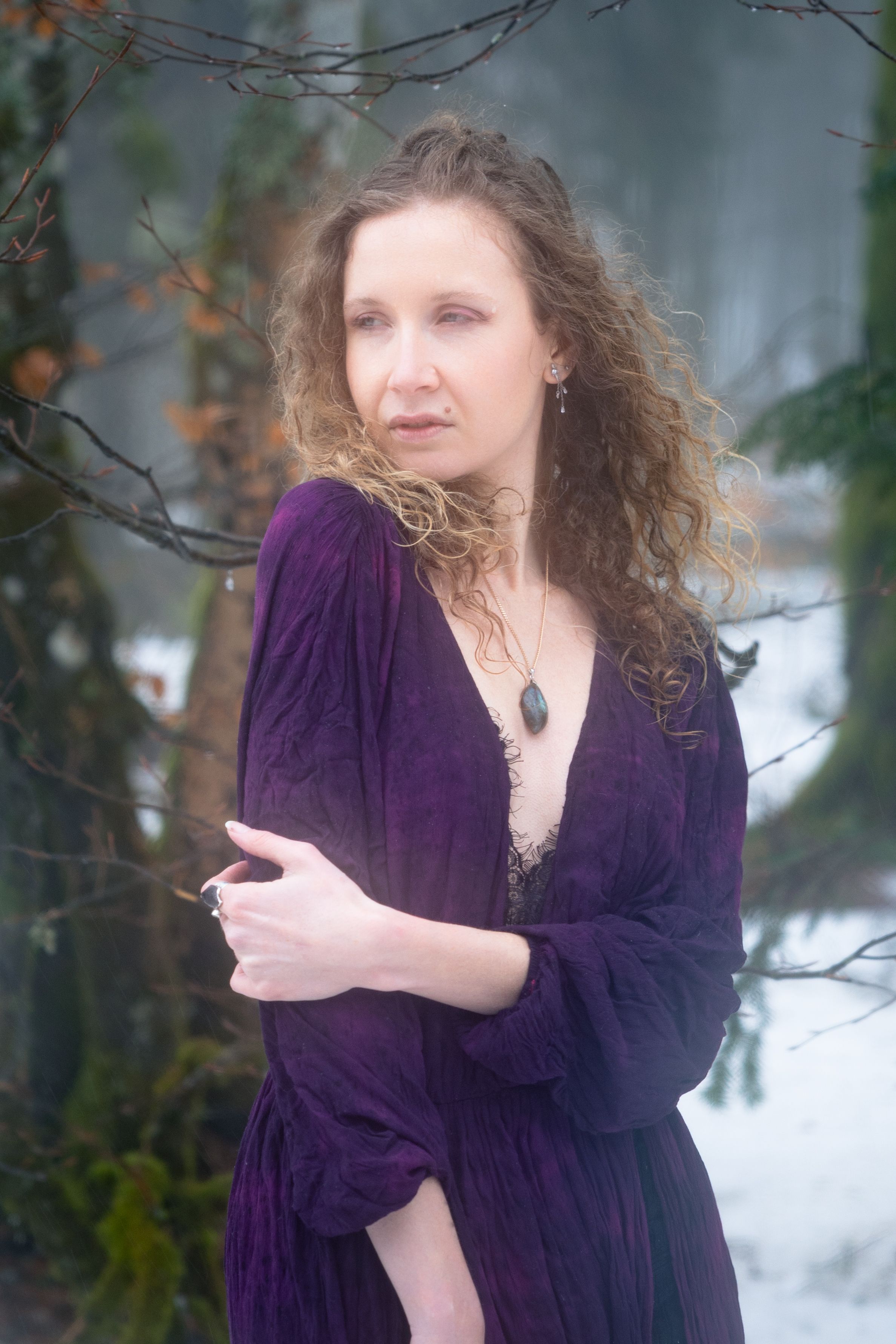 Young Woman Wearing a Purple Dress Posing in a Winter Forest  Free Stock  Photo
