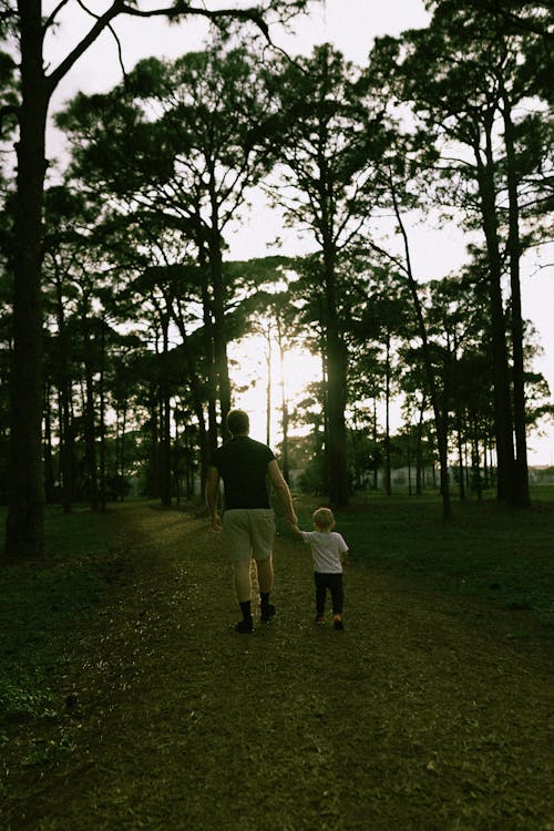 Základová fotografie zdarma na téma chlapec, chůze, dítě