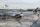 airline