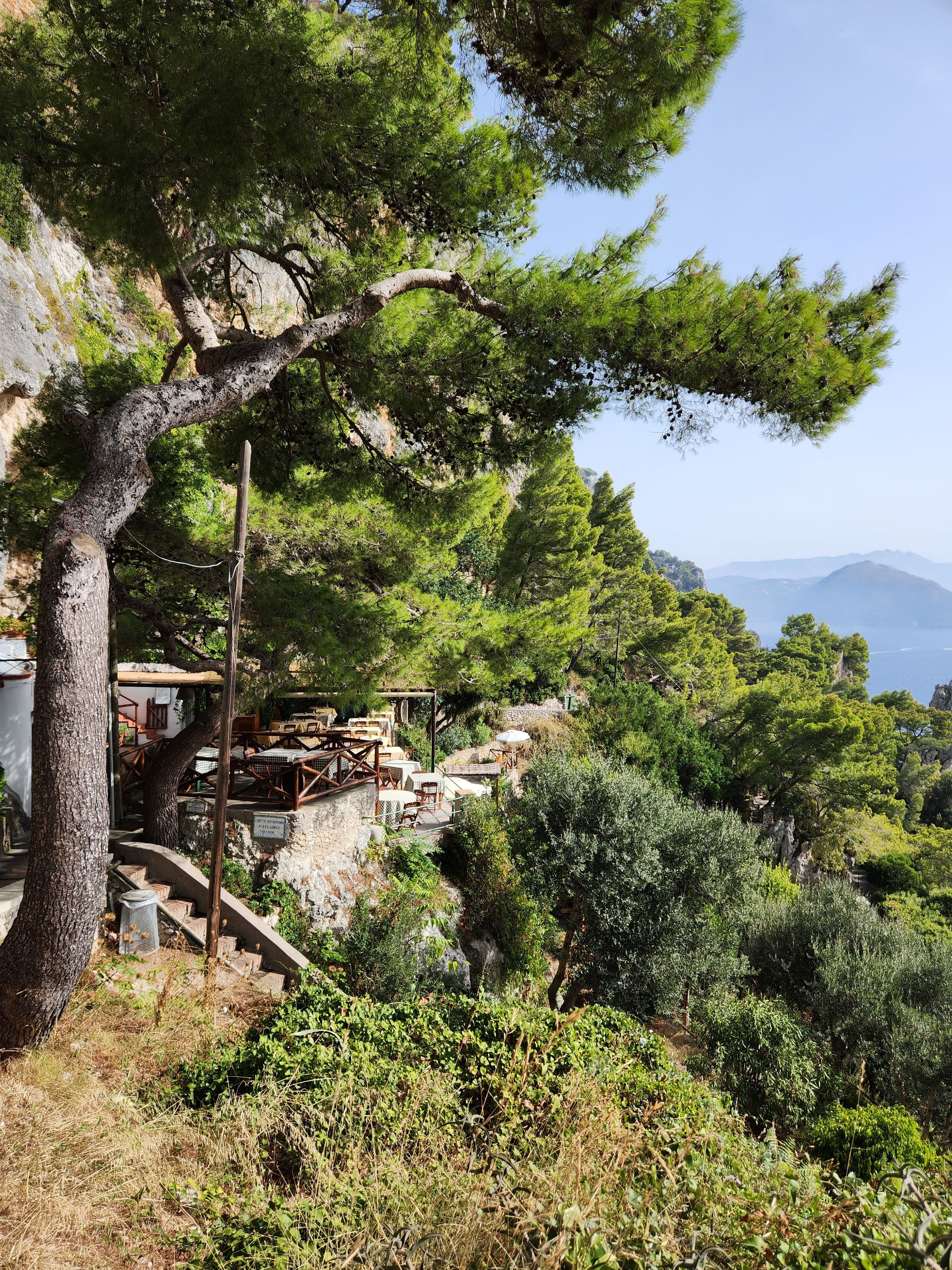 Peaceful nature scene on Capri, Italy, showcasing lush greenery and Mediterranean landscape.