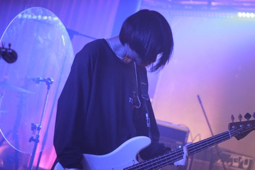 Free A musician plays an electric bass guitar on stage under purple lighting. Stock Photo