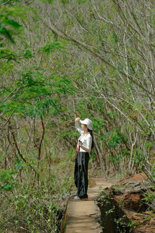 Woman on a Wooden Path in a Forest 