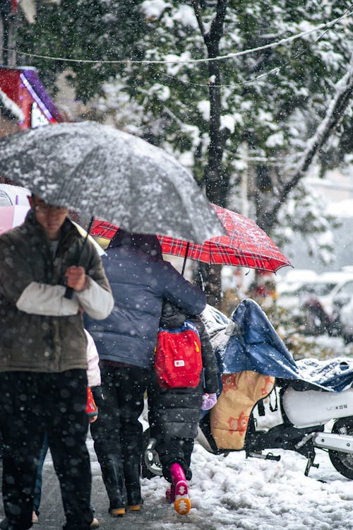 People with Umbrellas Walking on Street in Winter