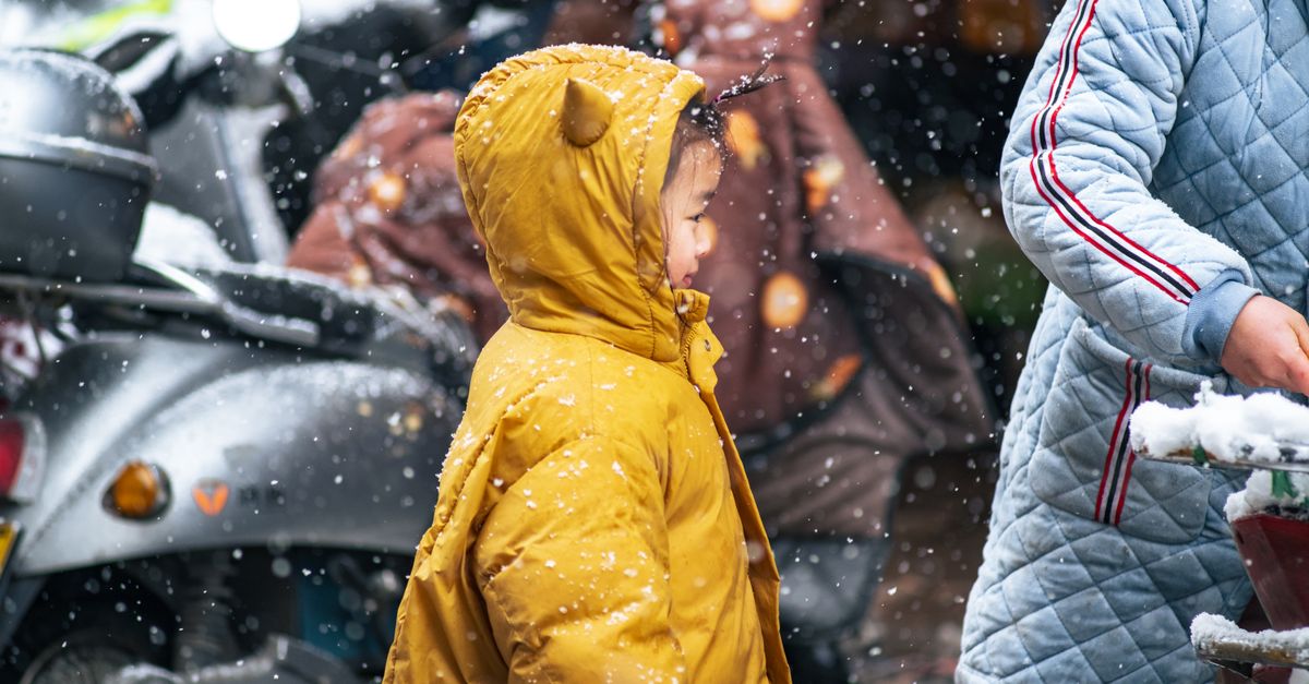 Cómo elegir el abrigo perfecto para cada tipo de clima