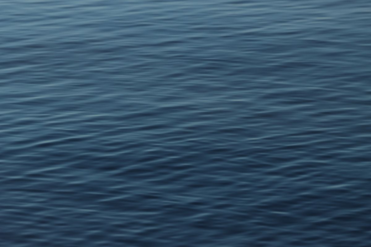 Wavy Fishy A Wavy Body of Water · Free Stock Photo