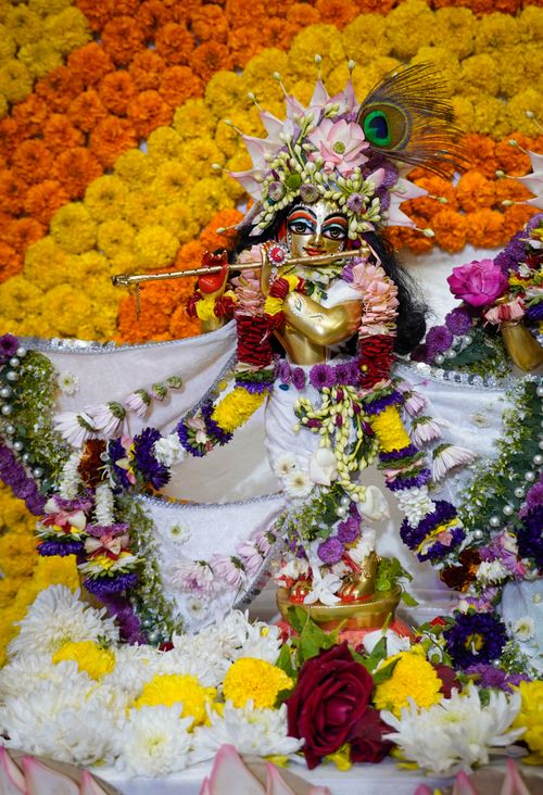 Free Beautifully adorned Krishna idol surrounded by vibrant flowers on a traditional Hindu altar. Stock Photo