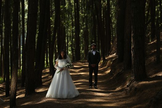 A newlywed couple stands elegantly among towering forest trees, exuding romance and serenity.