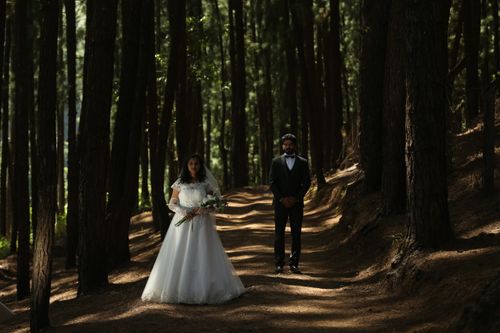 Free A newlywed couple stands elegantly among towering forest trees, exuding romance and serenity. Stock Photo
