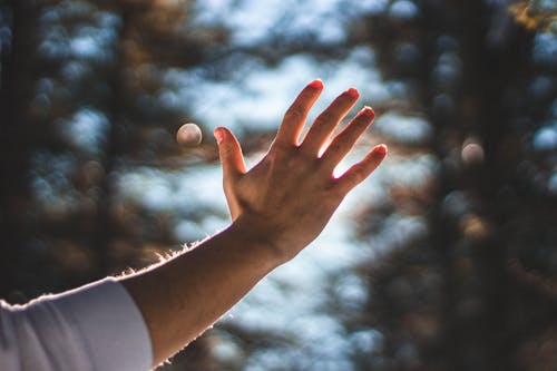 Foto De Primer Plano De La Mano Derecha