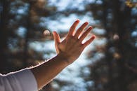 阳光从手中穿过，在背景中营造出散景效果