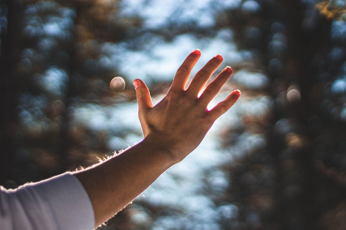 Top Right Hand 80,000+ Best Right Hand Photos · 100% Free Download · Pexels Stock Photos