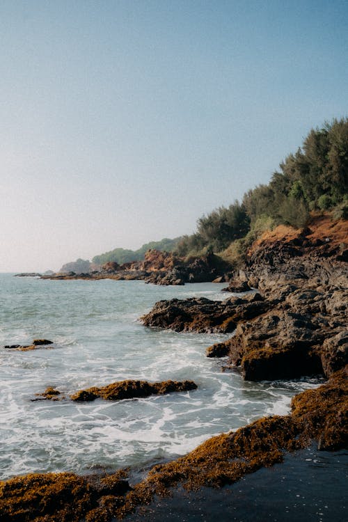 Imagine de stoc gratuită din cer senin, coastă, erodate