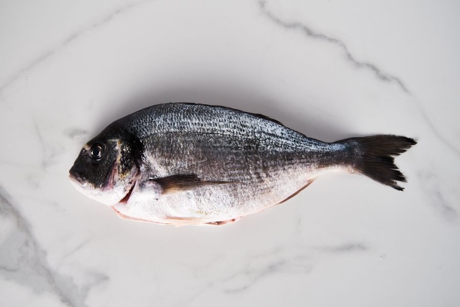 Seer Fish 1kg