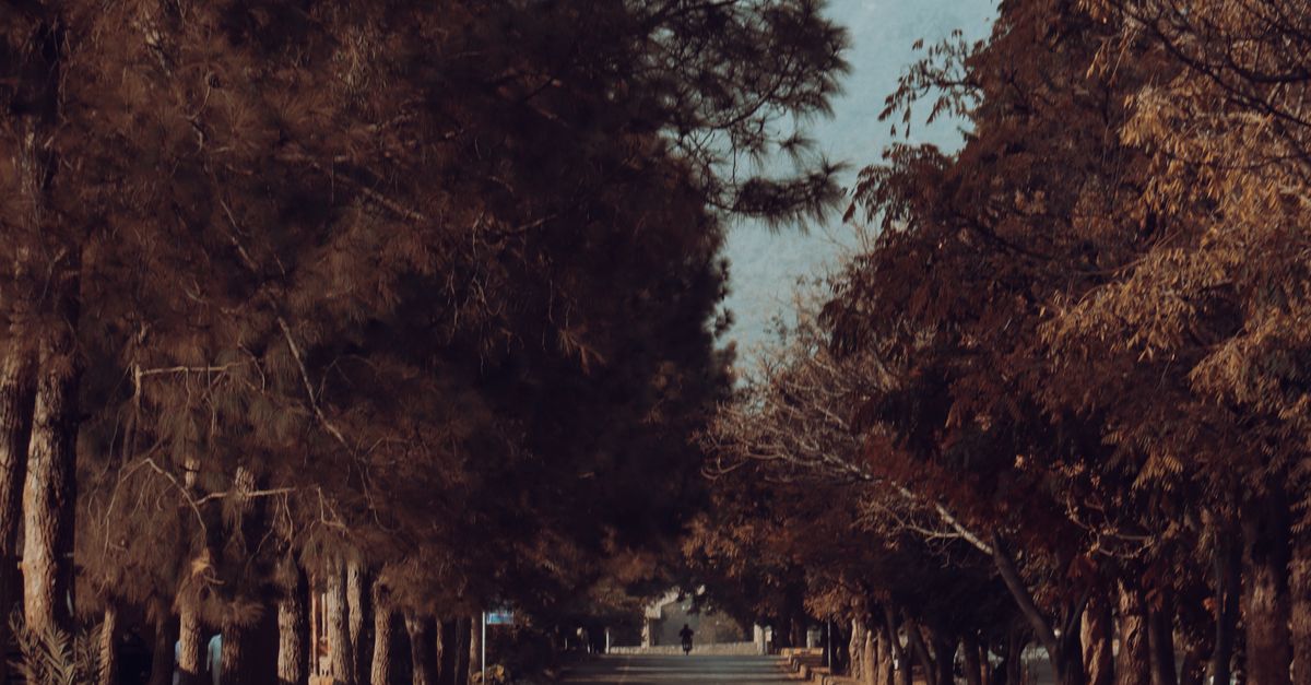 Photo of Pakistan