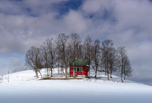 Foto stok gratis bangunan, bukit, dingin
