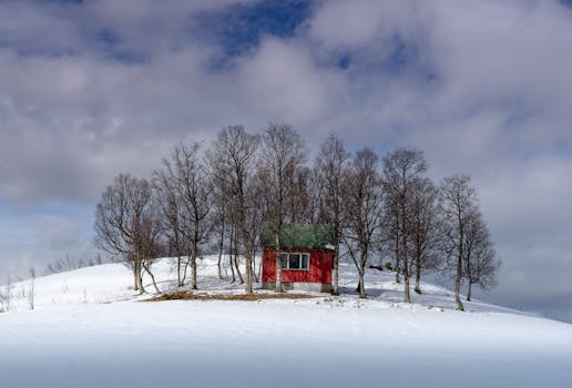 A red cabin nestled among leafless trees on a snowy hillside in Harstad, Norway.