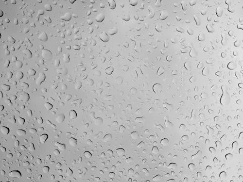 Darmowe zdjęcie z galerii z biały, deszcz, jasny