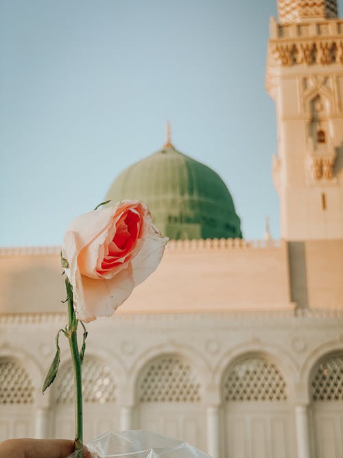 Flower and Mosque Wall and Dome behind