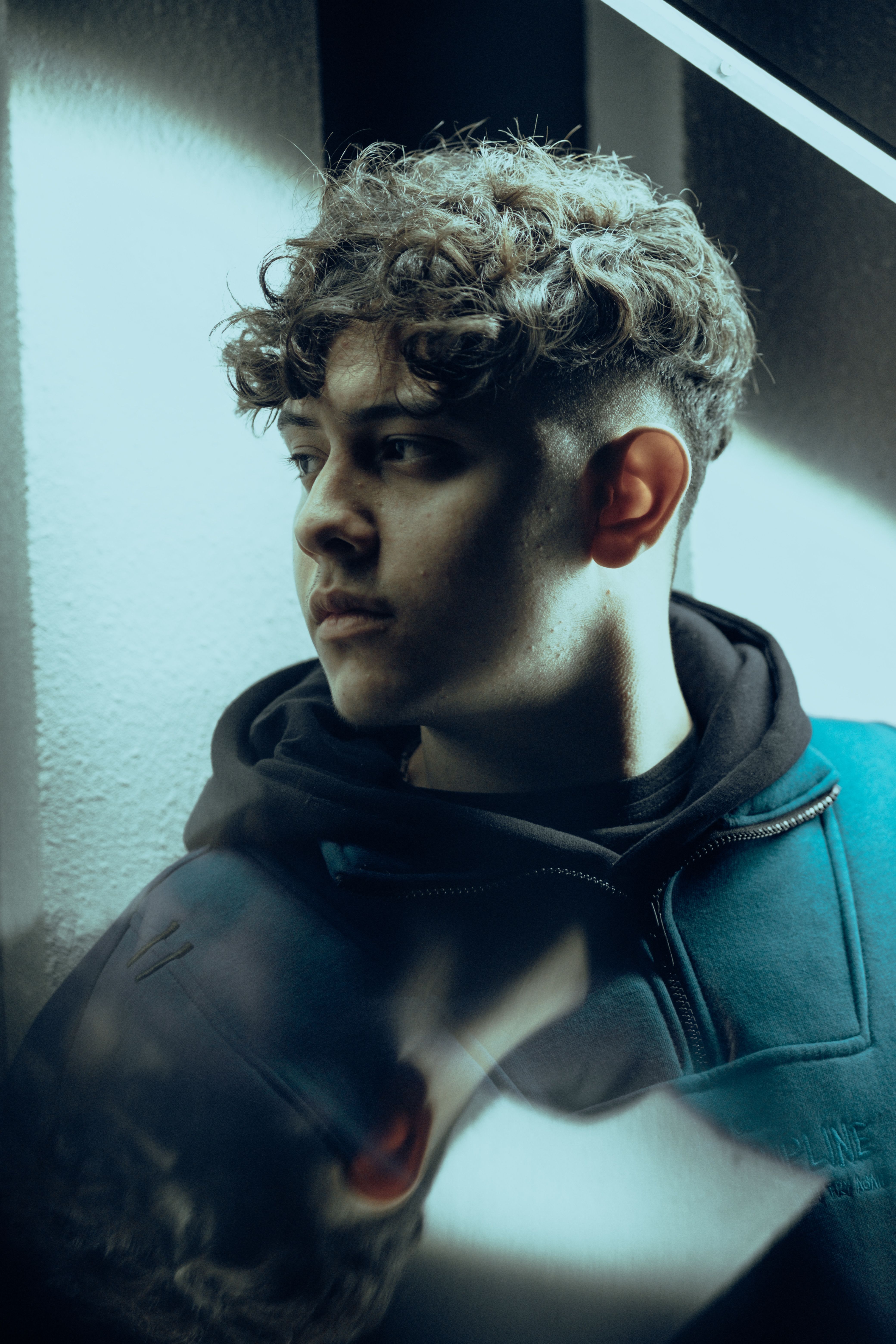 Portrait of Young Man with Curly Hair · Free Stock Photo