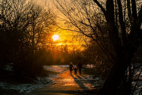 A family walks down a path at sunset