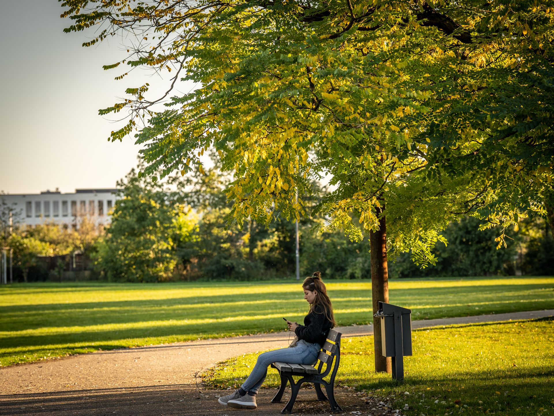 A young woman sitting on a bench using her smartphone under a tree in a sunny park setting.