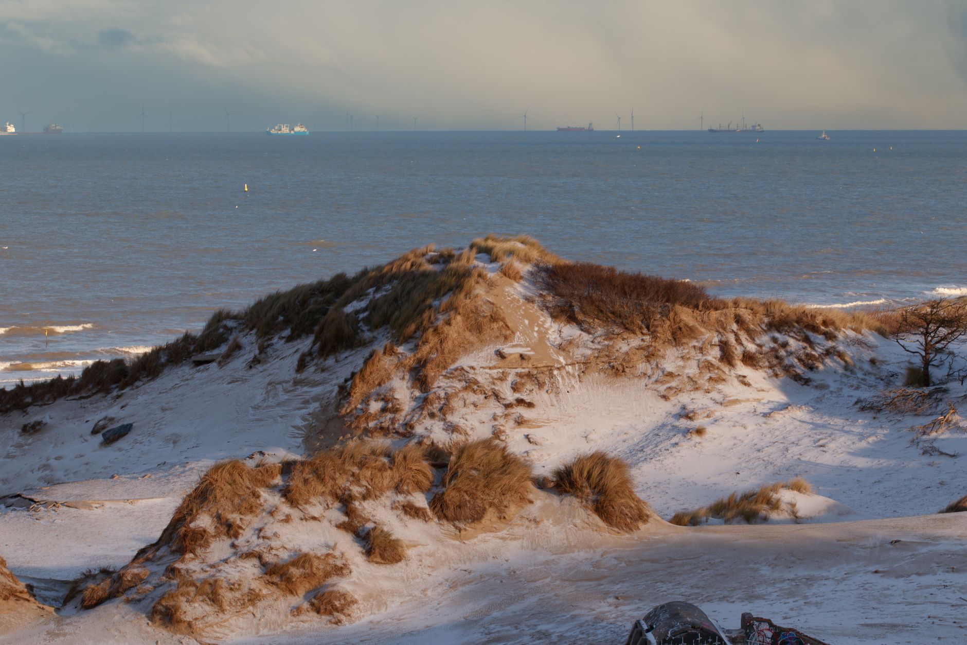 A serene winter view of snow-covered dunes by the sea in The Hague, Netherlands.
